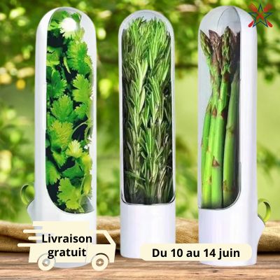 Freshly ™ | Conservateur d'herbes aromatiques